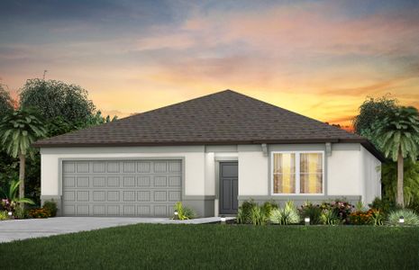 New construction Single-Family house Buckeye Road, Parrish, FL 34219 - photo 15 15