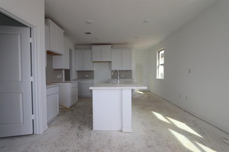 New construction Single-Family house 210 Lime St, Buda, TX 78610 Sonata- photo 5 5