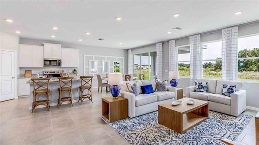 New construction Single-Family house 377 Mangrove Manor Drive, Apollo Beach, FL 33572 Coral- photo 5 5