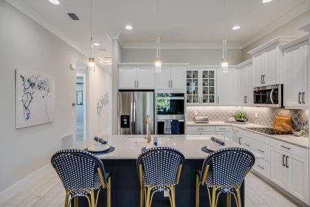 The Falls at Grand Harbor by GHO Homes in Vero Beach - photo 17 17