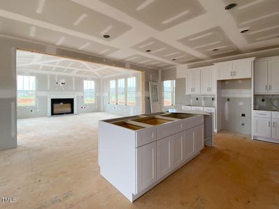 New construction Single-Family house 4835 Grosbeak Court, Mebane, NC 27302 - photo 5 5