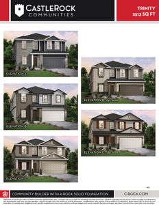 New construction Single-Family house 135 Antelope Valley, San Antonio, TX 78253 Trinity- photo 6 6