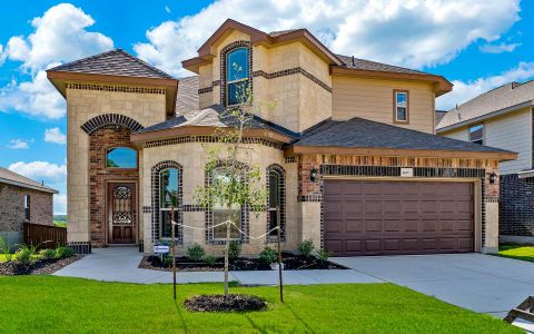 New construction Single-Family house Ficus, 11410 Briceway Land, Helotes, TX 78254 - photo