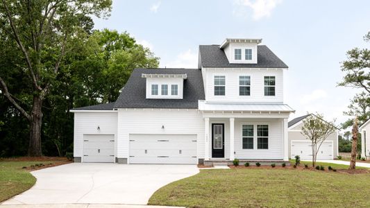Pamlico Terrace by DRB Homes in Awendaw - photo