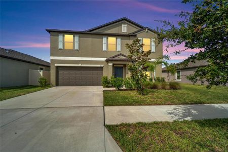 New construction Single-Family house 11508 Sage Canyon Drive, Riverview, FL 33578 - photo 0