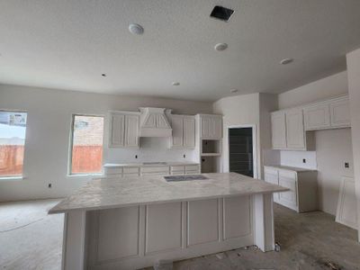New construction Single-Family house 403 Christel Sun Lane, Aledo, TX 76008 Aster FE- photo 3 3