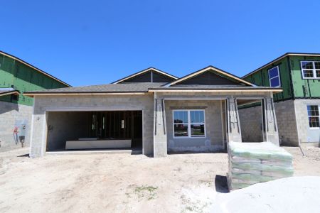 New construction Single-Family house 31843 Sapna Chime Drive, Wesley Chapel, FL 33545 Picasso- photo 50 50