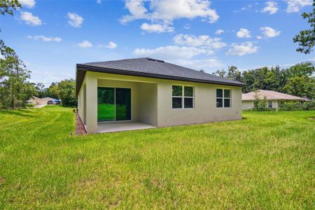 New construction Single-Family house 8238 Nuzum Road, Weeki Wachee, FL 34613 - photo 47 47