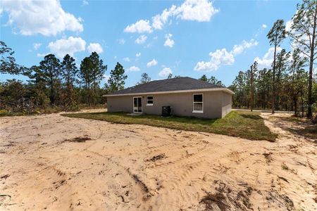 New construction Single-Family house 24053 Nw Tamarind Lane, Dunnellon, FL 34431 - photo 35 35