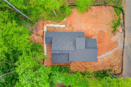 New construction Single-Family house 4050 Skyline Drive, Gainesville, GA 30501 - photo 8 8