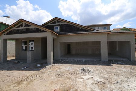 New construction Single-Family house 10609 New Morning Drive, Tampa, FL 33647 Corina  III Bonus- photo 38 38