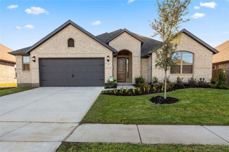 New construction Single-Family house 3913 Timberview Street, Midlothian, TX 76065 Raleigh- photo 0