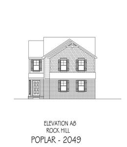 New construction Single-Family house 835 Peoria Lane, Rock Hill, SC 29730 - photo 3 3