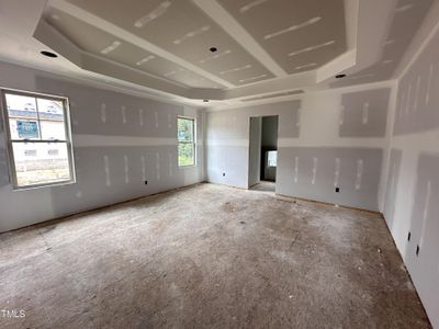 New construction Single-Family house 17 S Rowsham Place, Smithfield, NC 27577 - photo 3 3