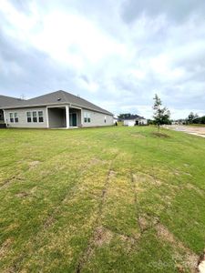 New construction Single-Family house 1003 Alicante Avenue, Charlotte, NC 28214 Newport- photo 28 28