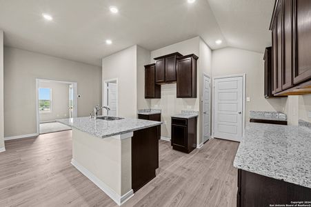 New construction Single-Family house 8439 Aloe Vera Trace, San Antonio, TX 78222 Eastland- photo 18 18