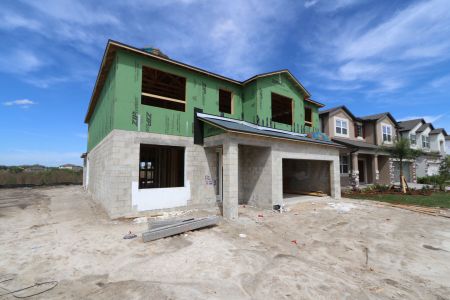 New construction Single-Family house 2522 Sunny Pebble Loop, Zephyrhills, FL 33540 Mira Lago- photo 37 37