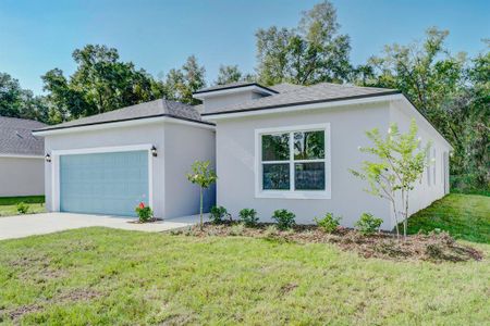 New construction Single-Family house 8578 Southeast 164th Place, Summerfield, FL 34491 - photo 3 3