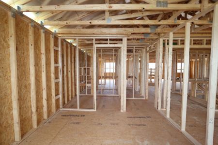 New construction Single-Family house 3024 King Fern Drive, Wimauma, FL 33598 Mira Lago- photo 19 19
