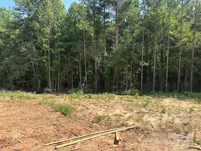 Tree Lined - 1 Acre Lot