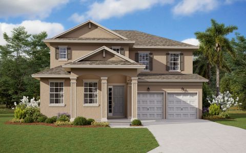 New construction Single-Family house Captiva, 14229 Lanyard Way, Winter Garden, FL 34787 - photo