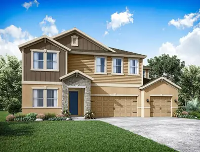 New construction Single-Family house 60' - Sawgrass-FL, Ackley Trace, Wesley Chapel, FL 33541 - photo