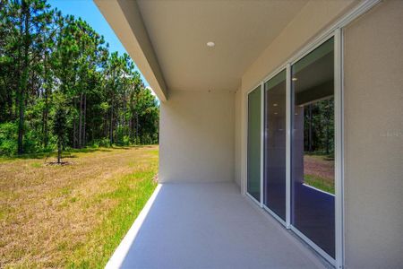 New construction Single-Family house 595 Via Bella Court, Howey-in-the-Hills, FL 34737 Biscayne- photo 20 20