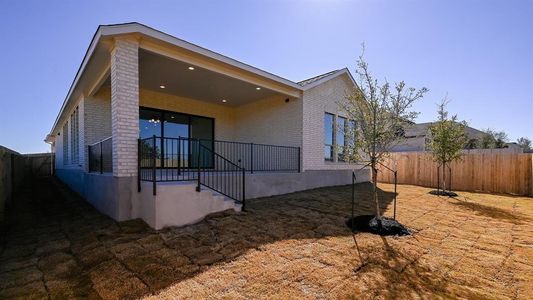 New construction Single-Family house 387 Cyrus Milton Dr, Buda, TX 78610 - photo 10 10