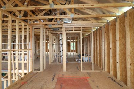 New construction Single-Family house 9635 Crescent Ray Drive, Wesley Chapel, FL 33545 Mira Lago- photo 37 37