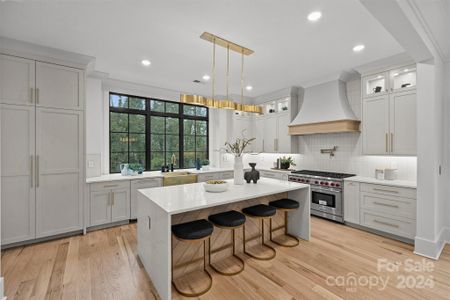 Towns at Berry Hill by Kinger Homes in Charlotte - photo 35 35