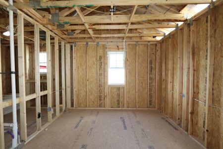 New construction Single-Family house 5254 Currant Street, Lakeland, FL 33811 Marina- photo 47 47