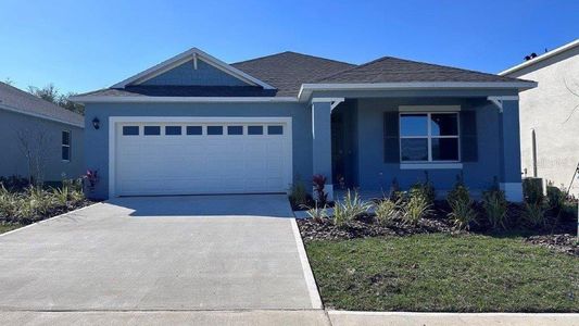 New construction Single-Family house 1189 Alstonia Lane, Mount Dora, FL 32757 - photo 0