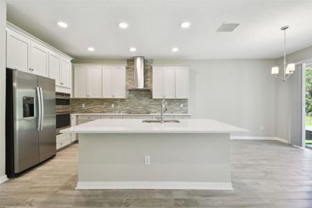 New construction Single-Family house 5040 Bromeliad Avenue, Wimauma, FL 33598 Barcello- photo 6 6