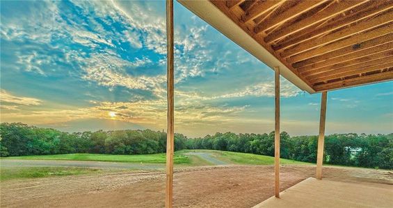 New construction Single-Family house 125 Daniel Ridge, Cartersville, GA 30120 Trickum- photo 13 13