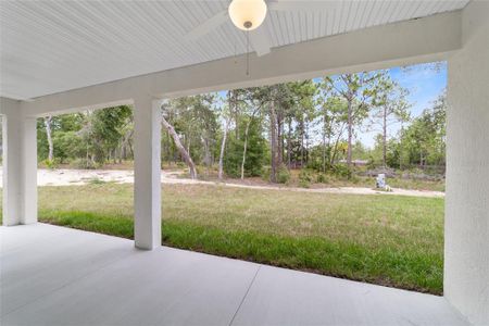 New construction Single-Family house 13359 Sw 80Th Street, Dunnellon, FL 34432 - photo 57 57