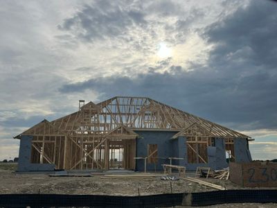 New construction Single-Family house 2305 Meteor Drive, Krum, TX 76249 Cedar Sage- photo 3 3