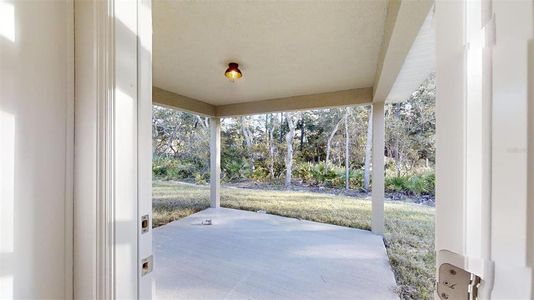New construction Single-Family house 19804 Sw Nightingale Drive, Dunnellon, FL 34431 - photo 60 60