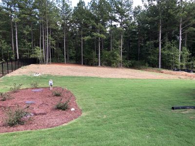 New construction Single-Family house 105 Ironwood Boulevard, Youngsville, NC 27596 Cypress- photo 28 28