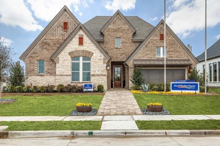 Harvest Orchard Classic by David Weekley Homes in Argyle - photo 21