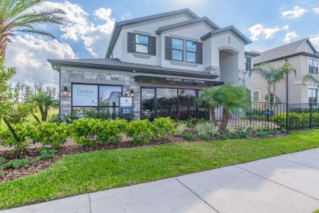 New construction Single-Family house 10805 Rolling Moss Road, Tampa, FL 33647 Sonoma II- photo
