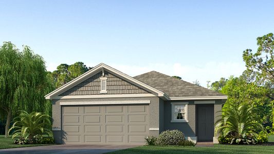 New construction Single-Family house Allex, 36426 Spanish Rose Drive, Dade City, FL 33525 - photo
