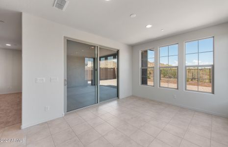 New construction Single-Family house 13796 W Forest Pleasant Place, Peoria, AZ 85383 - photo 11 11