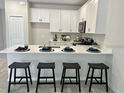 New construction Townhouse house 10911 Quickwater Ct, Riverview, FL 33569 - photo