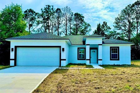 New construction Single-Family house 13352 Sw 49Th Avenue, Ocala, FL 34473 - photo 0