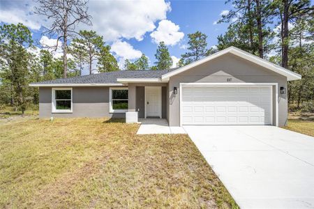 New construction Single-Family house 117 Nw Sparrow Road, Dunnellon, FL 34431 - photo 55 55