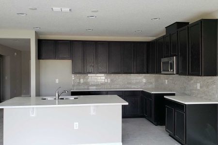 New construction Single-Family house 2547 Great Heron Avenue , Saint Cloud, FL 34771 - photo 6 6