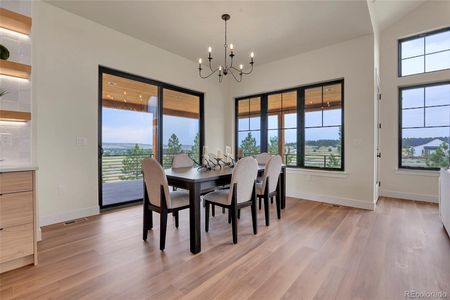 New construction Single-Family house 1601 Arrowpoint Court, Franktown, CO 80116 - photo 43 43