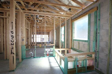 New construction Single-Family house 33224 Amling Pecan Branch, Wesley Chapel, FL 33545 Newport II- photo 25 25
