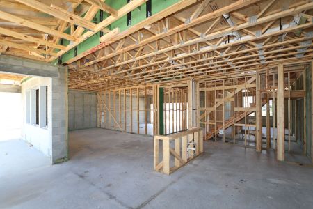 New construction Single-Family house 31870 Sapna Chime Drive, Wesley Chapel, FL 33545 Casanova- photo 26 26