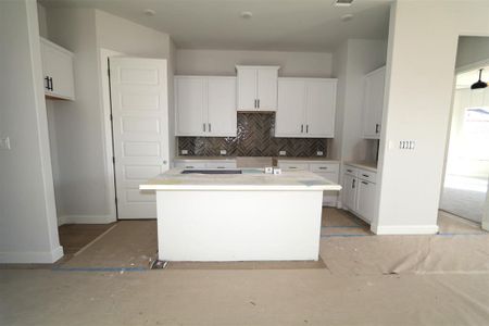 New construction Single-Family house 163 Cotton Tree Ter, Dripping Springs, TX 78620 Galloway - Capital Series- photo 3 3